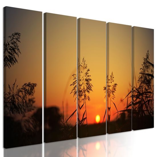 5-dielny obraz západ slnka za steblami trávy