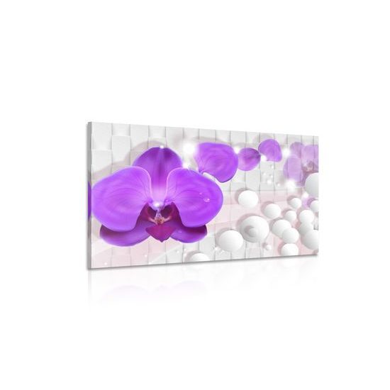 Obraz orchidea na elegantom pozadí