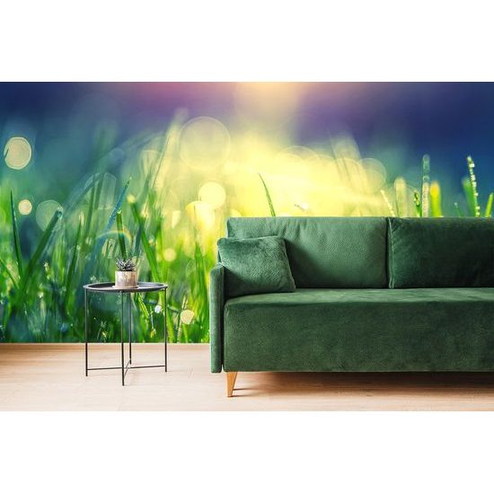 Samolepiaca tapeta ranná rosa na tráve