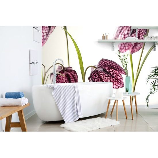 Samolepiaca fototapeta šachovnicový kvet sfarbený do fialova