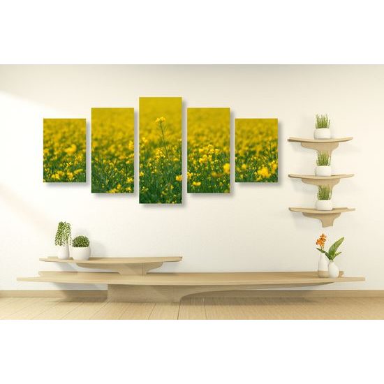 5-dielny obraz rozkvitnutá lúka