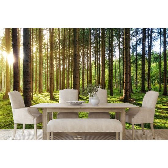 Samolepiaca fototapeta kúzlo ranného lesa