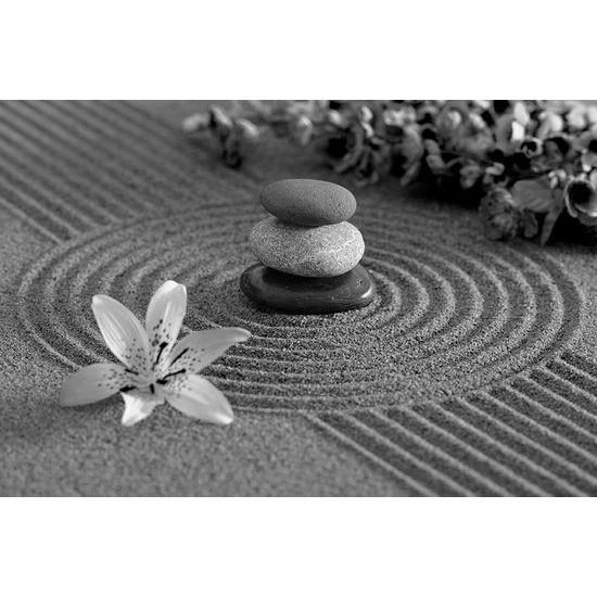 Fototapeta čiernobiela zen záhrada s kameňmi a kvetmi