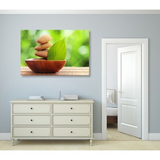 Obraz Zen kamene a list v prirode