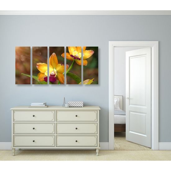 5-dielny obraz unikátna zlatá orchidea