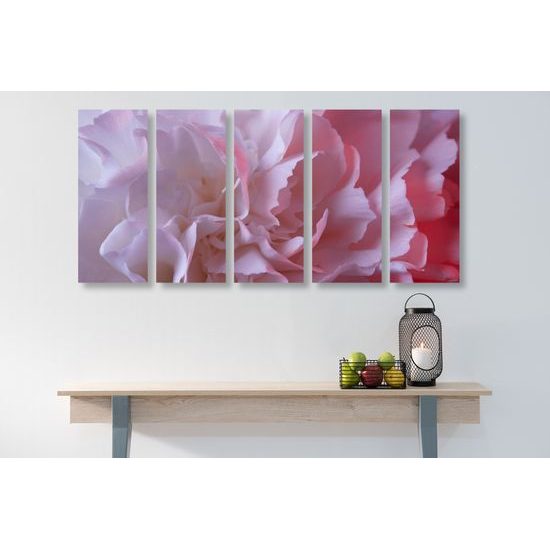 5-dielny obraz detail na lupienky karafiátu