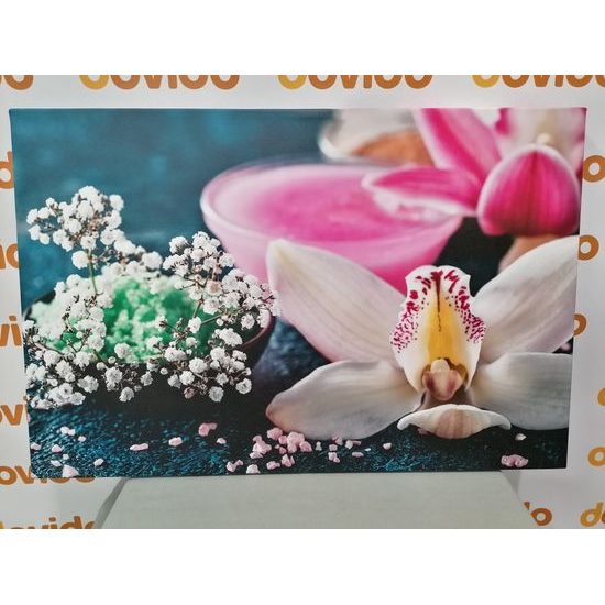 Obraz orchidea a zen zátišie