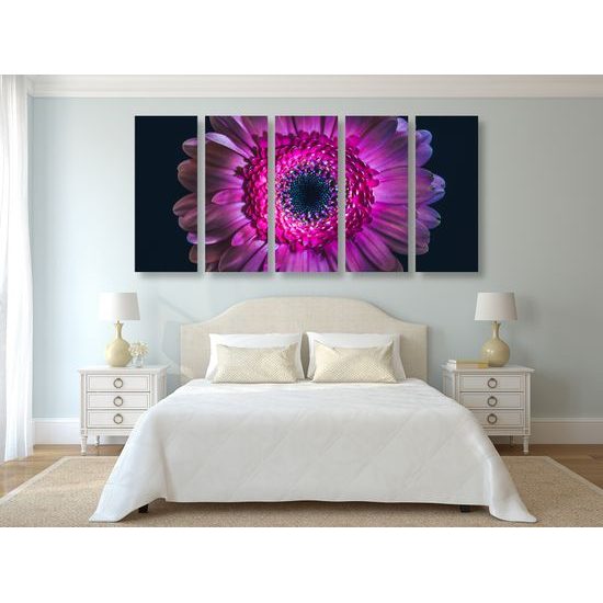 5-dielny obraz detail gerbery