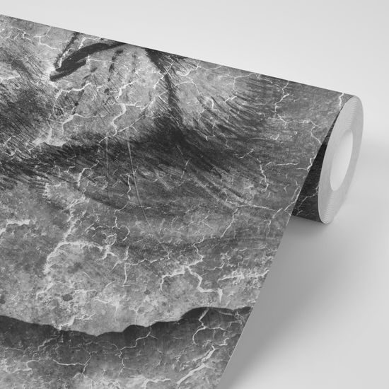 Samolepiaca tapeta čiernobiely pohľad leva