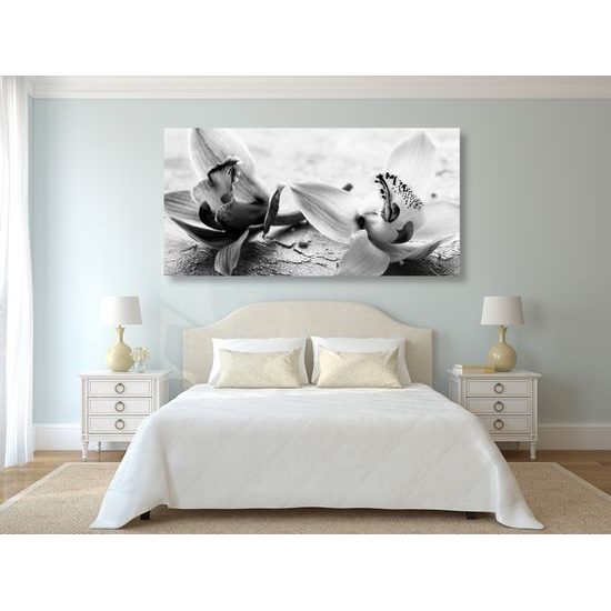Obraz nádherné čiernobiele kvety orchidey
