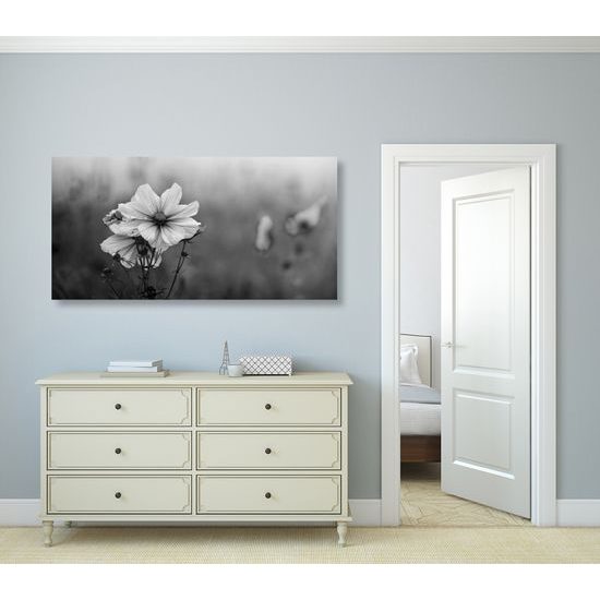 Obraz kvitnúce lúčne kvety v čiernobielom prevedení