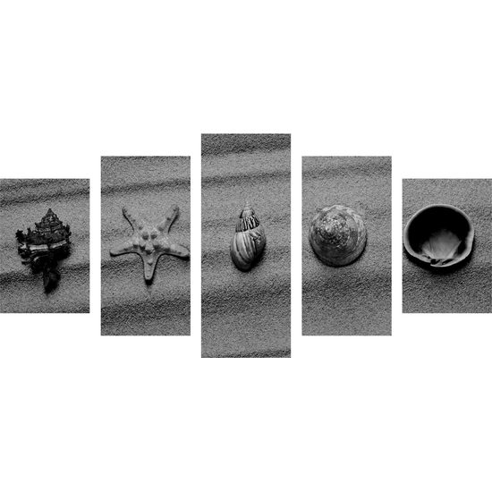 5-dielny obraz zátišie z mušlí na pláži v čiernobielom prevedení