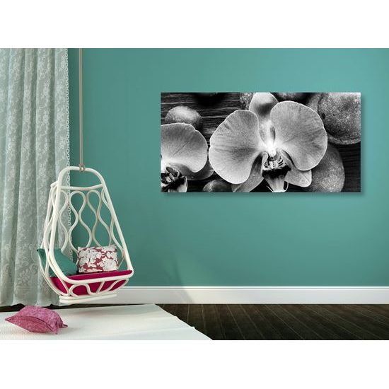 Obraz orchidea a Zen kamene na drevenom pozadí v čiernobielom prevedení