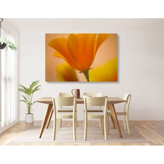 Obraz nádherný žltý kvet