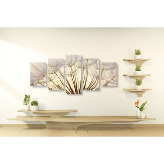 5-dielny obraz detail púpavy