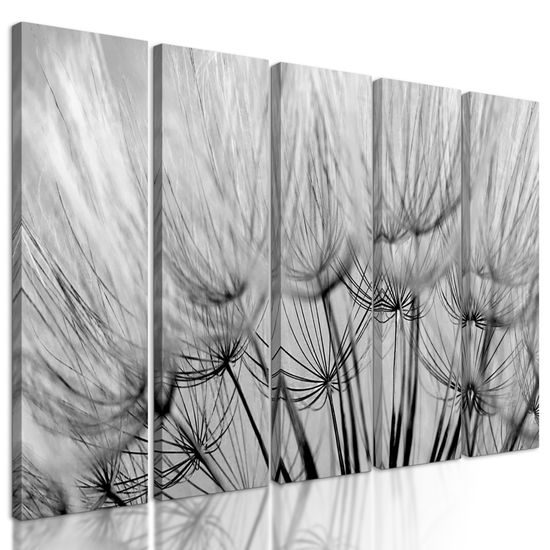5-dielny obraz presný detail púpavy v čiernobielom prevedení