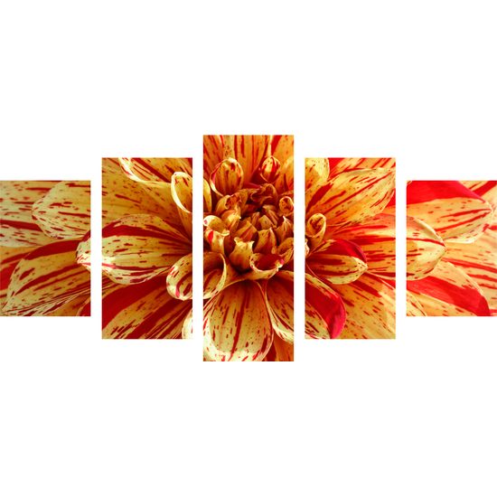 5-dielny obraz ohromná dália