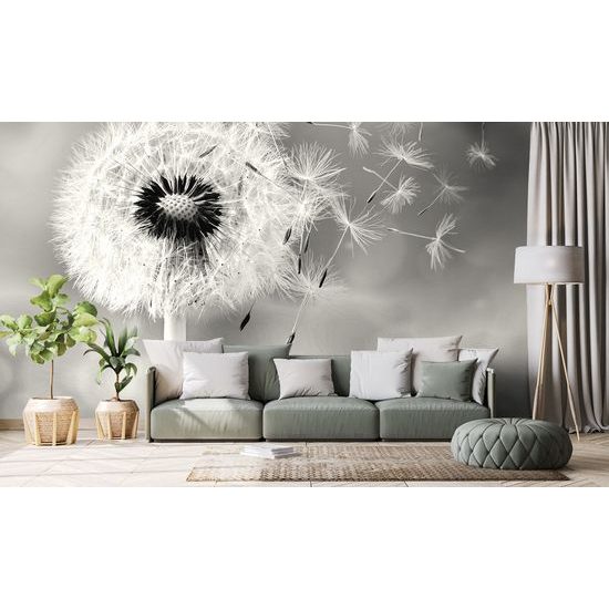 Samolepiaca fototapeta čiernobiely dotyk púpavy s vetrom