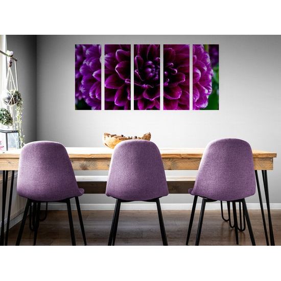 5-dielny obraz ohromný purpurový kvet