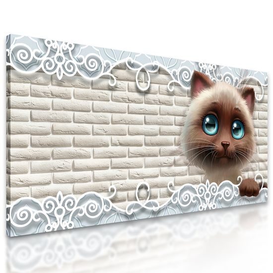 Obraz nádherný kocúr