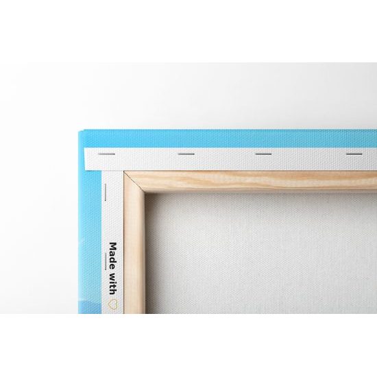 Obraz nádherné levaduľové polia