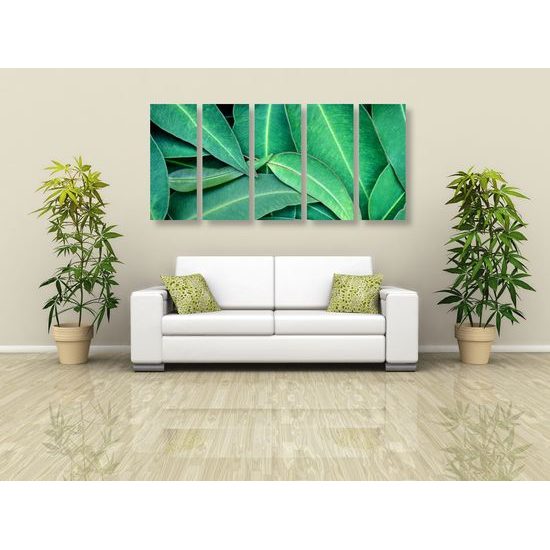 5-dielny obraz jemné listy