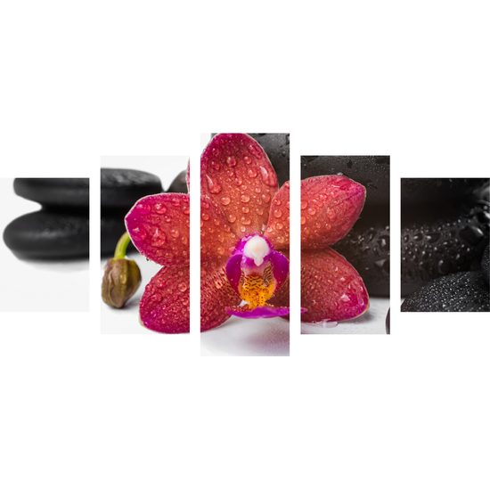 5-dielny obraz zen zátišie a orchidea