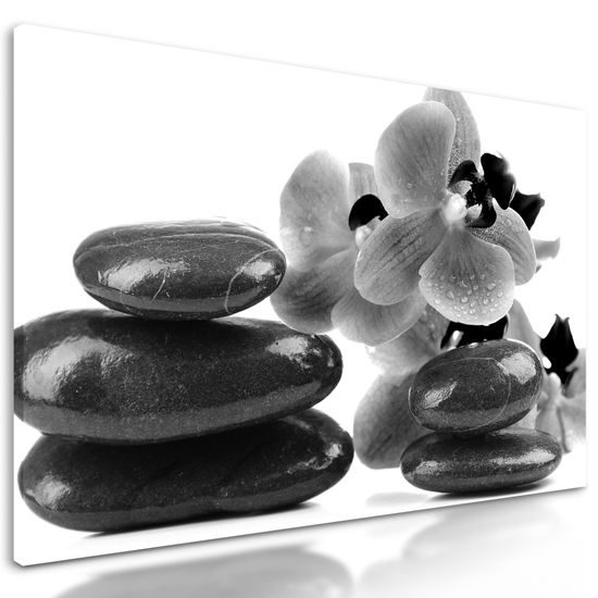 Obraz relaxačne SPA zátišie v čiernobielom prevedení