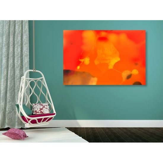 Obraz list lipy s ohnivým pozadím