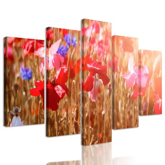 5-dielny obraz lúčne maky na slnečnej lúke