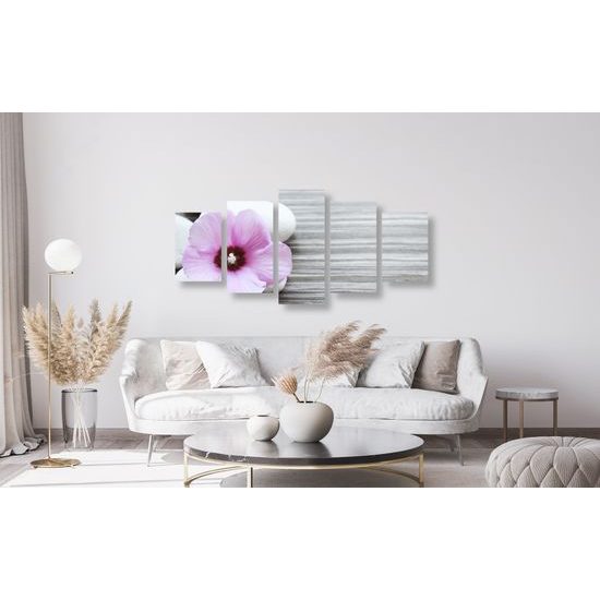 5-dielny obraz nádherný kontrast medzi kvetom a kameňmi