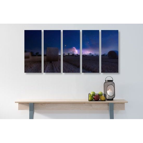 5-dielny obraz lúka a pohľad na hivezdy