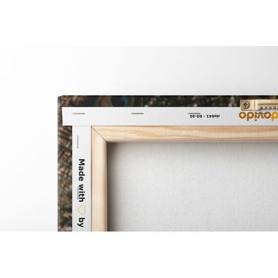 Obraz páv v krásnom sfarbení