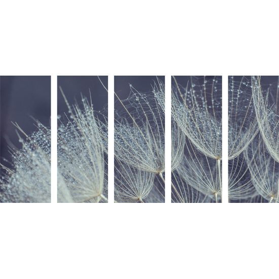 5-dielny obraz detail púpavy