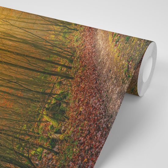 Samolepiaca fototapeta rozprávková cesta lesom