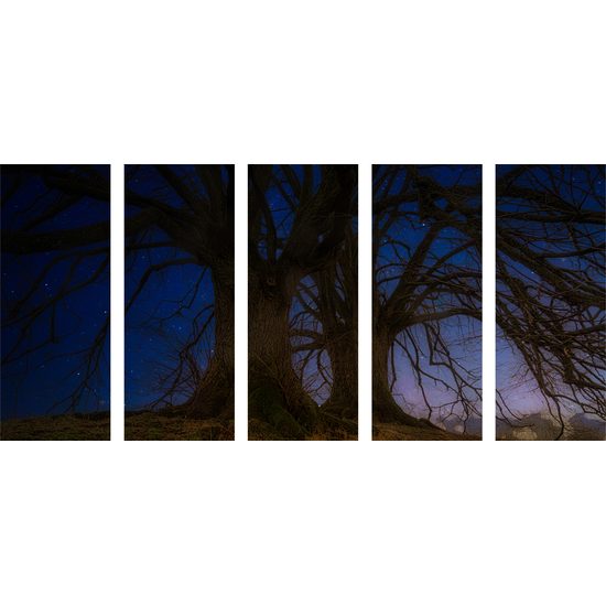 5-dielny obraz magické stromy pod nočnou oblohou