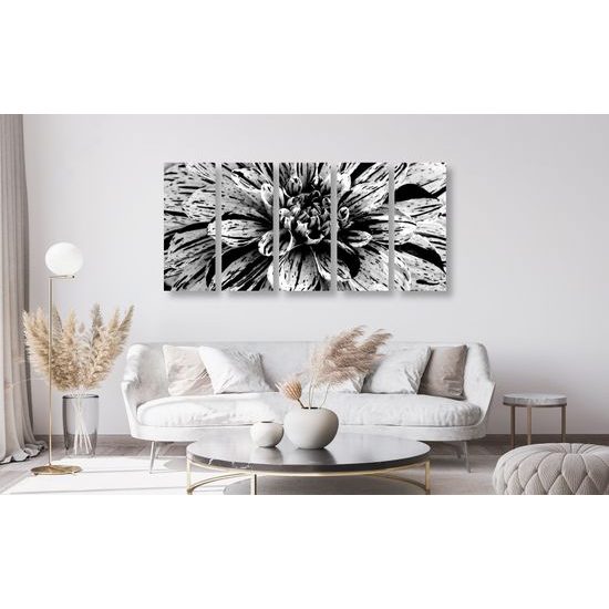 5-dielny obraz ohromná dália v čiernobielom prevedení