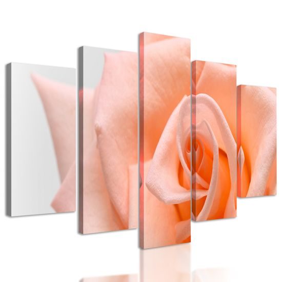 5-dielny obraz precízny detail na oranžovú ružu
