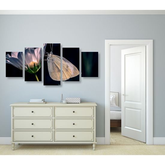 5-dielny obraz nočný motýľ