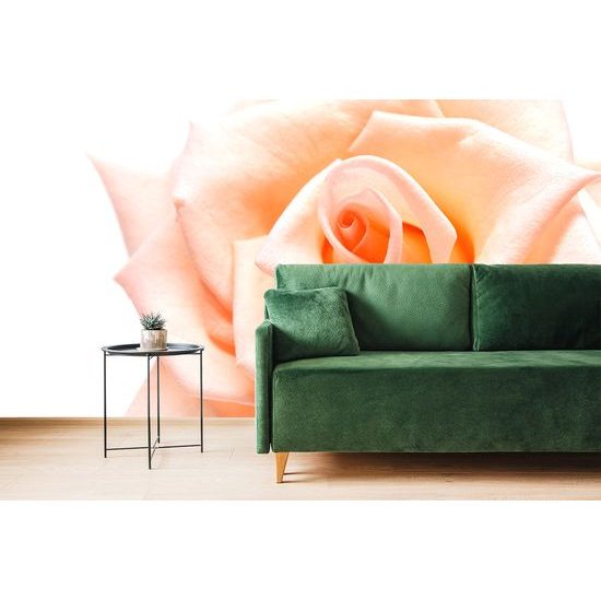 Okúzľujúca samolepiaca fototapeta broskyňovo sfarbená ruža