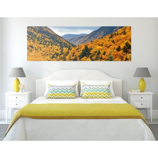 Obraz pohľad na jarnú krajinu