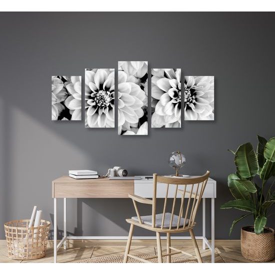 5-dielny obraz jemné rozkvitnuté dálie v čiernobielom prevedení