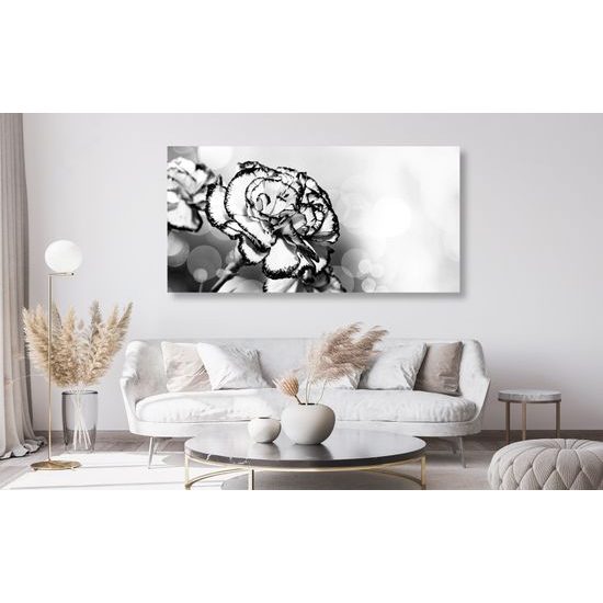 Obraz nádherný karafiát v čiernobielom prevedení