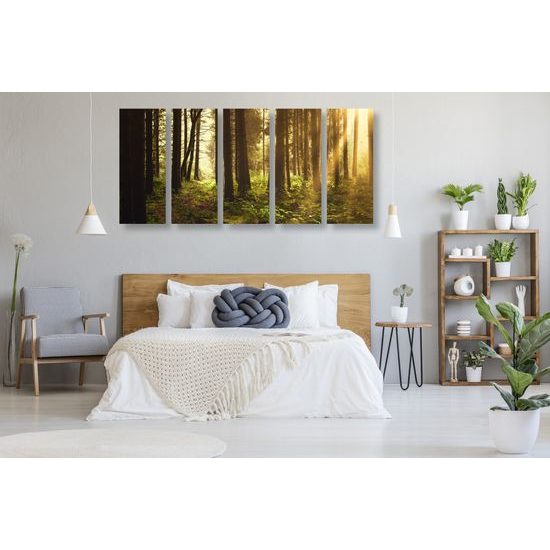 5-dielny obraz slnko predierajúce sa medzi korunami stromov