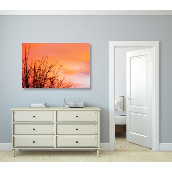 Obraz oranžová obloha