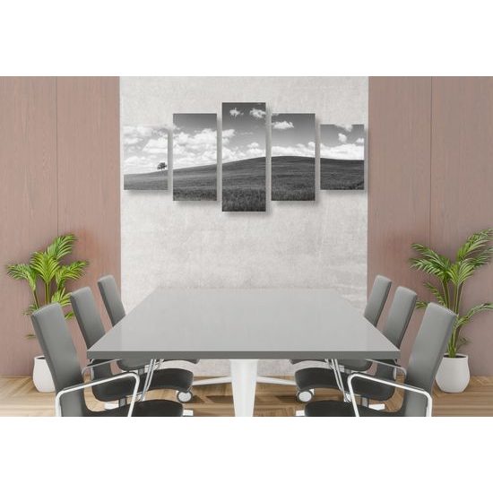 5-dielny obraz slnečný deň na lúke v čiernobielom prevedení