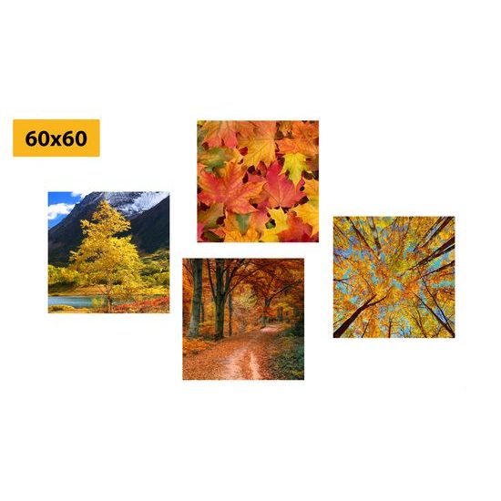 Set obrazov krásna jesenná príroda