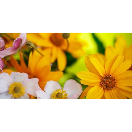 Obraz kvety v letných farbách