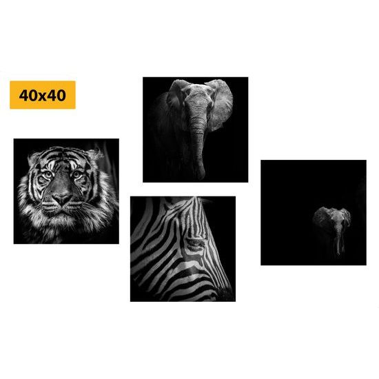 Set obrazov africké zvieratá v čiernobielom prevedení
