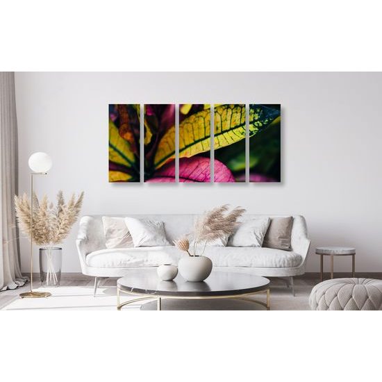 5-dielny obraz tropické listy